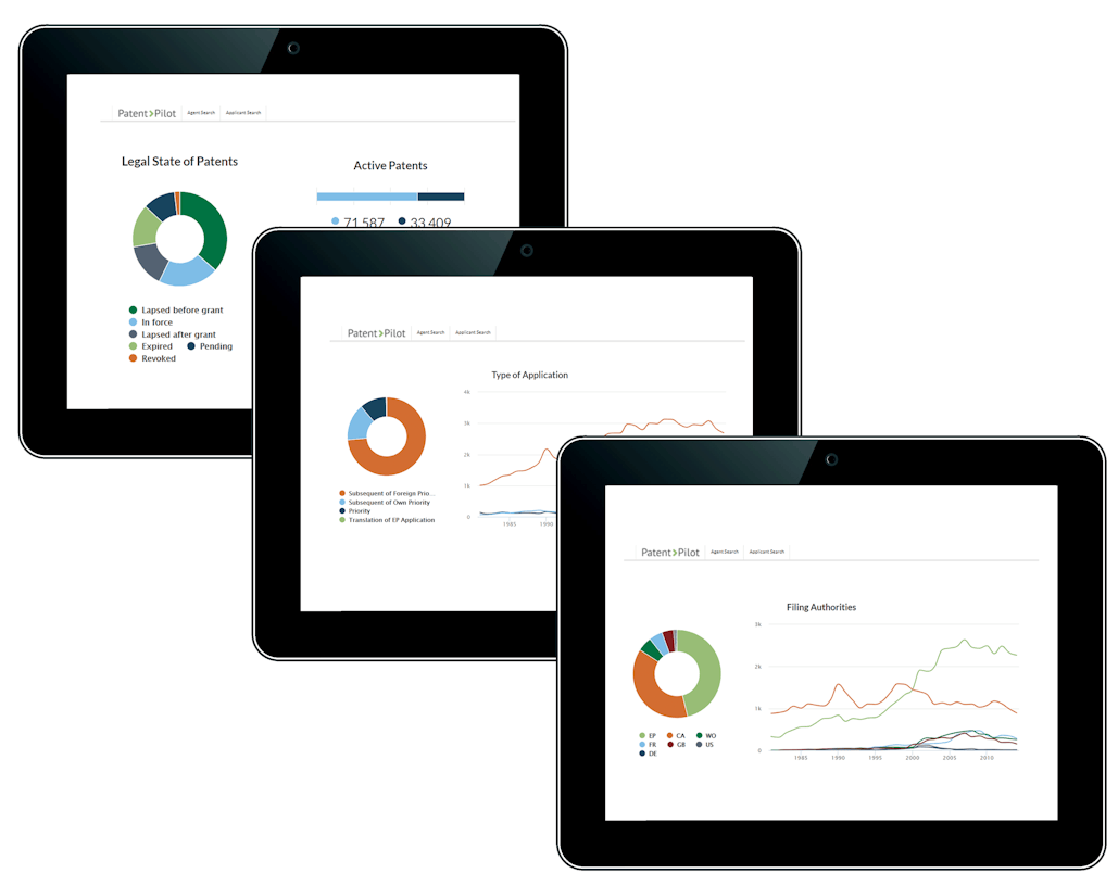 Patent-Pilot:Big data analytics tool to analyze the relations between ...